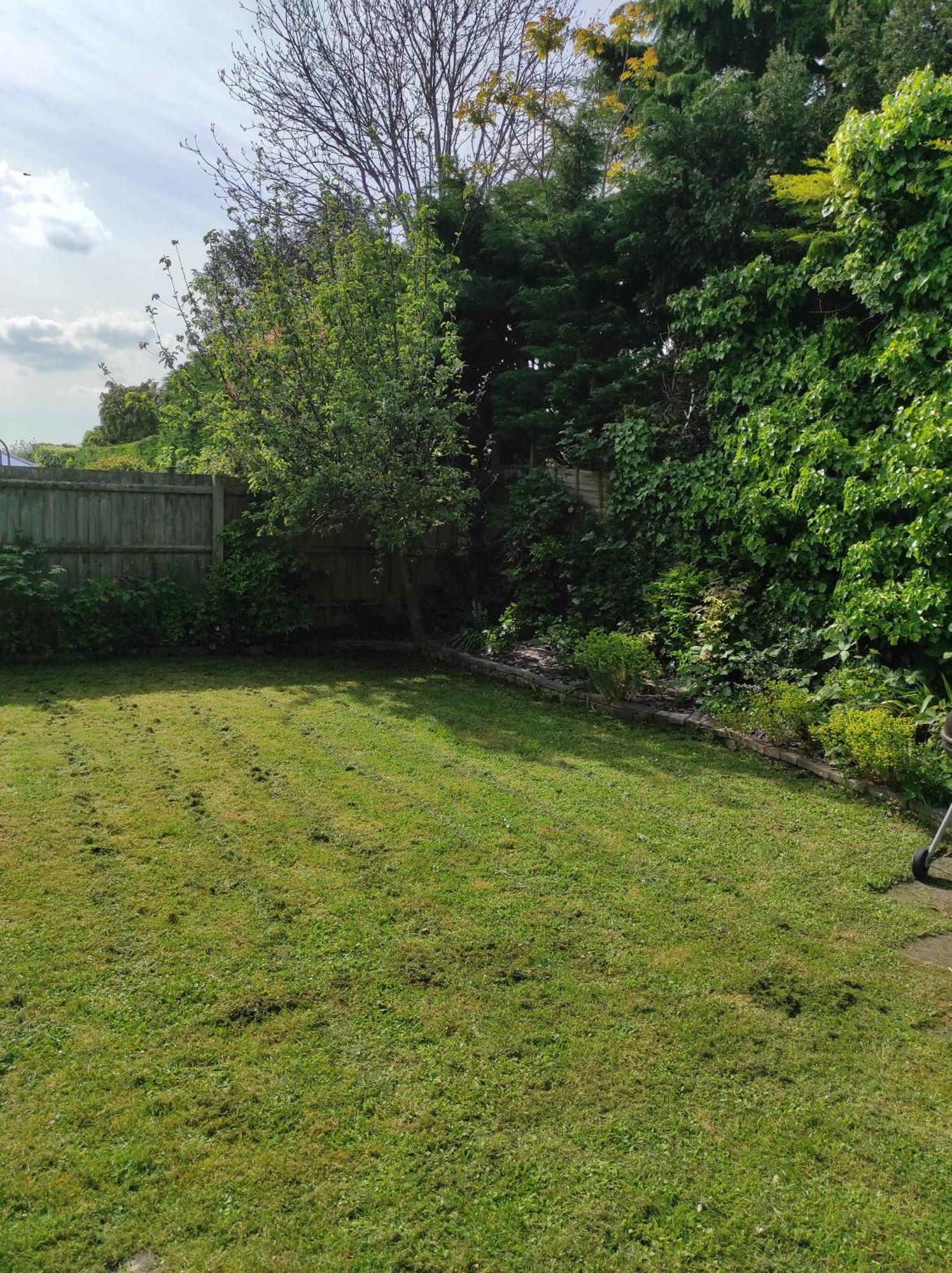 Number 8 With Free Parking Villa Bury St. Edmunds Buitenkant foto